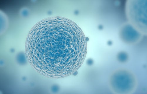 Characterization-of-lipid-based-systems-with-QSense-QCM-D-500