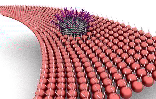 Lipid-interfaces-and-nanomaterials-500